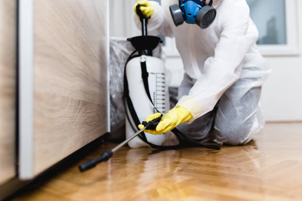 Best Exterminator Services  in Mendon, UT