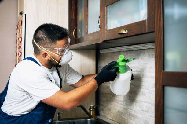 Best Pest Removal Services  in Mendon, UT