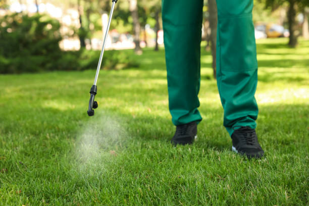 Best Insect Control  in Mendon, UT