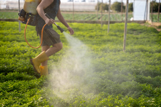 Best Mosquito Control Services  in Mendon, UT