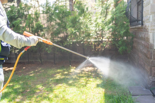 Best Insect Control  in Mendon, UT
