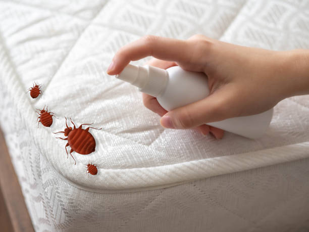 Best Affordable Pest Control Services  in Mendon, UT