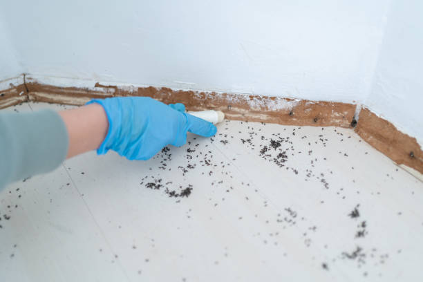 Best Pest Control for Homes  in Mendon, UT