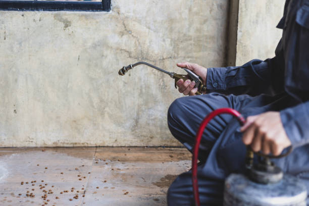 Best Ant Control Services  in Mendon, UT