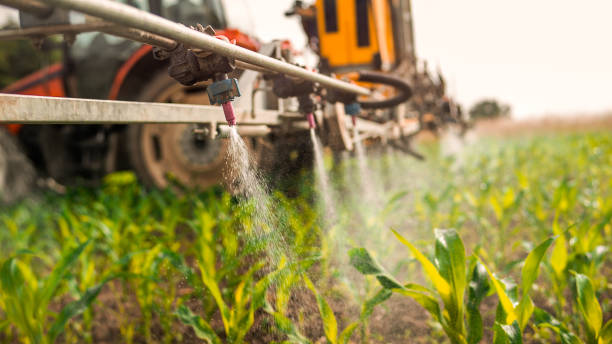 Pest Prevention Services in Mendon, UT