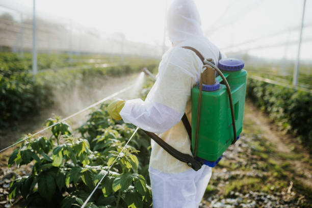 Professional Pest Control in Mendon, UT